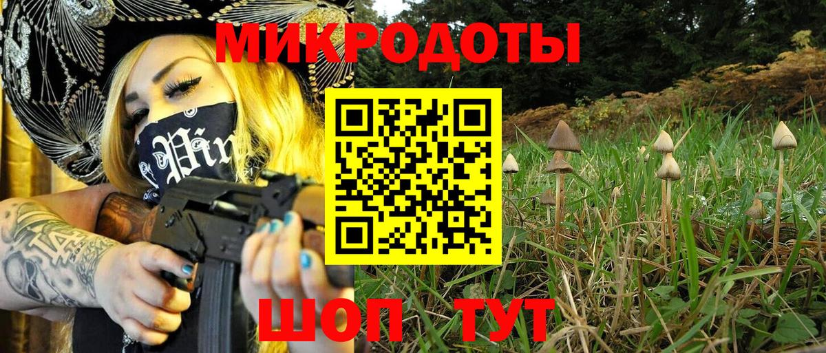 Псилоцибиновые грибы прущие грибы Ярцево