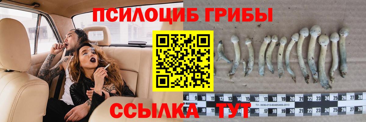 хочу   Галлюциногенные грибы ЛСД  Ярцево  Вход с VPN  Галлюциногенные грибы Cubensis 